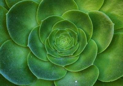 笔组词有哪些词语(优选50句)