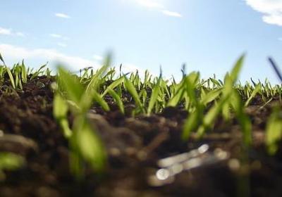 联系上下文理解词语(合集10句) 联系上下文理解词语(合集10句)