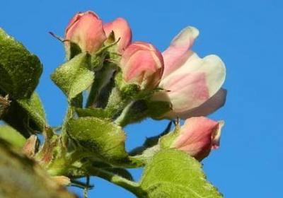 符组词语有哪些(共61句)