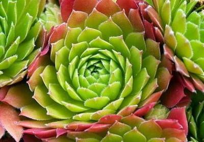 胖乎乎照样子写词语(汇总60句)