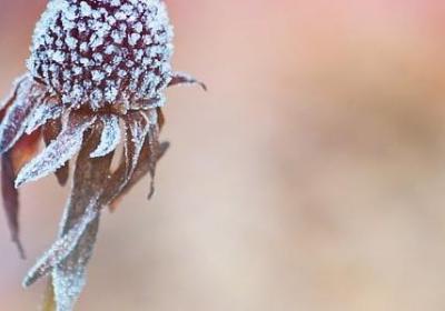 自什么自什么的词语(汇总40句) 自什么自什么的词语(汇总40句)