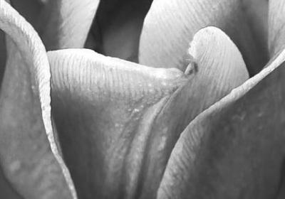 精神大餐的词语(精选60句)