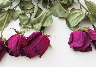 笑有什么词语(推荐70句)