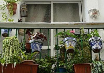 给你是词语吗(必备21句)