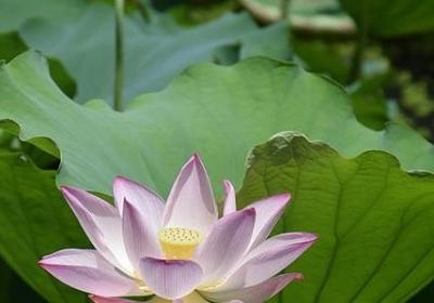 表示积少成多的词语(通用40句)