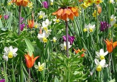 藤组词有哪些词语(合集61句)