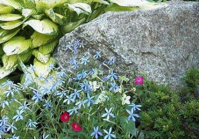 表示山的词语(共80句)