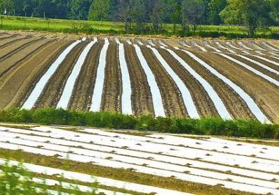 表示看的词语什么老师(热门10句) 表示看的词语什么老师(热门10句)