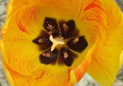 表示开始的词语(热门61句)