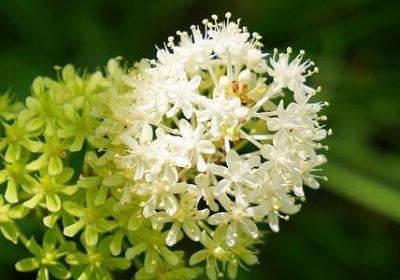 荒漠的什么填词语(通用10句)