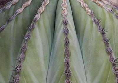 表示做事认真的词语(推荐40句)