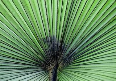 表达想念的词语(推荐50句)