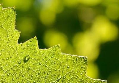 觉得很奇怪的词语(通用20句)