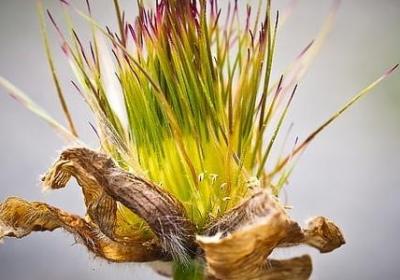 语重心长词语接龙(19句)