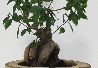 诚信有关的词语(71句)