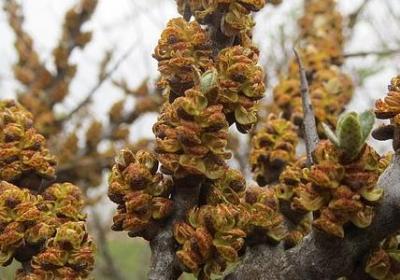 褐的四字词语(热门60句)