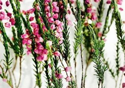 表示释怀的词语(共38句)