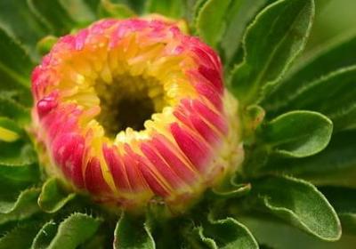 解多音字组词语和拼音(推荐60句)