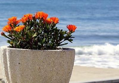 有关朗读的名言(精选71句)