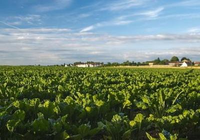 有关信用的名言(优选60句)