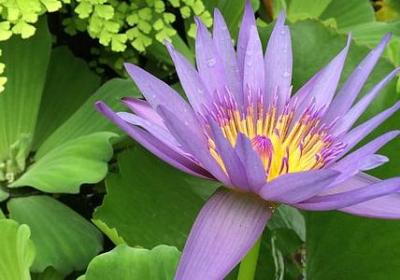 有关师德的名言(共49句)