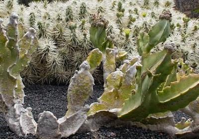 有关理想的名人名言(精选51句) 有关理想的名人名言(精选51句)