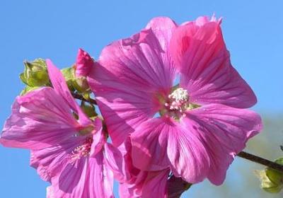 跟静有关的词语(优选70句)