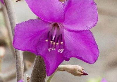 轻能组什么词语(优选5句)