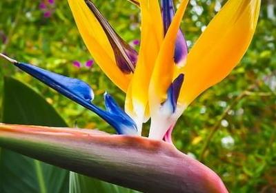 有哪些读书的名言(热门40句) 有哪些读书的名言(热门40句)