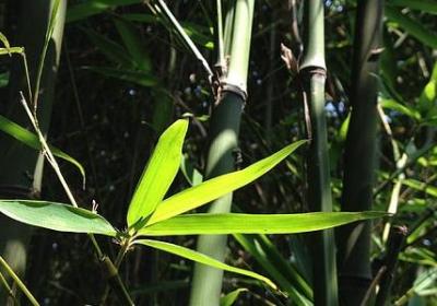 杜兰特的名言(20句)