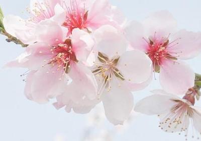 量组词四字词语(优选70句)