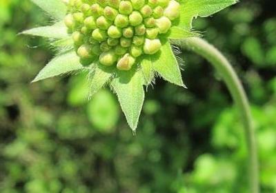 赞美老人的词语(共61句)