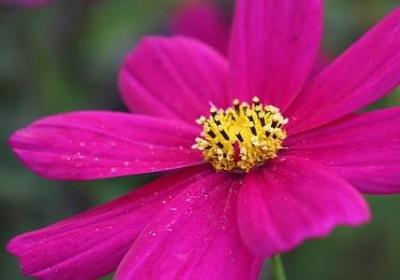 金色年华词语(共70句) 金色年华词语(共70句)