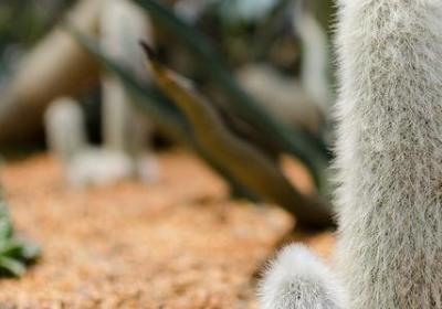 每日励志名言(80句)