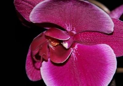 爱孩子的名言(优选78句)