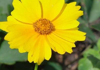 比尔盖茨的名言(共10句)