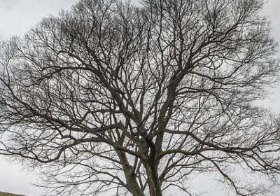 爱情名言(优选80句)