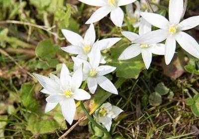 用名言写一段话(热门20句)