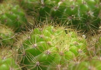 电影名人名言(合集155句)