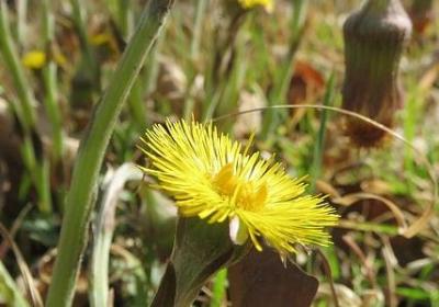 知足常乐名言(合集50句)