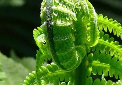 波风水门名言(共40句)