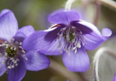 爱国名言短句(共70句)