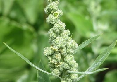 沉着冷静的名言(热门60句)