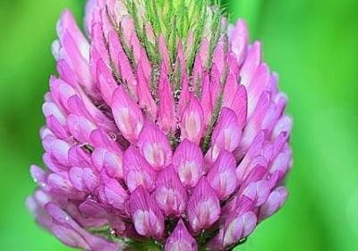 有关陪伴的名言(实用100句)