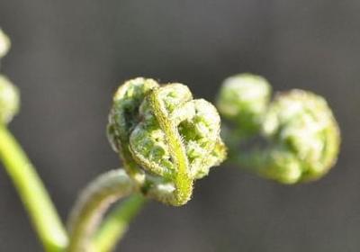 老子的名言名句(合集51句)