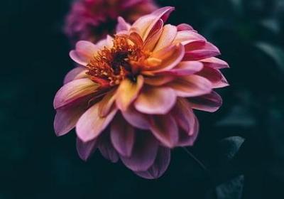 整理整理照样子写词语(优选30句) 整理整理照样子写词语(优选30句)