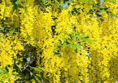 描写水的词语有(合集71句) 描写水的词语有(合集71句)