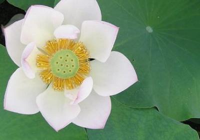 无意中突然看见的词语(实用50句) 无意中突然看见的词语(实用50句)