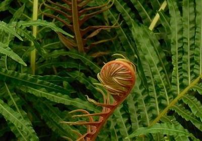 搞笑二字词语(40句) 搞笑二字词语(40句)