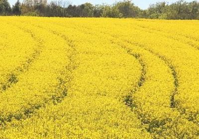 暗中查看是什么词语(热门64句)